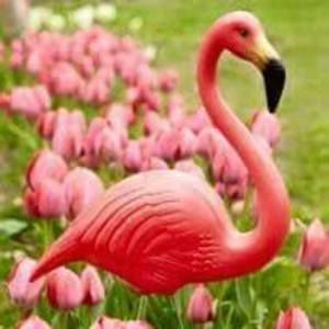 Meet your Posher, Rena